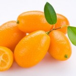 kumquat_2