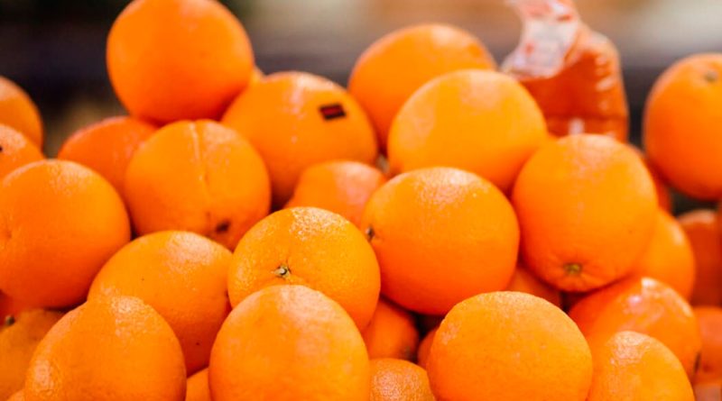 Aumento en la producción de naranjas de Egipto