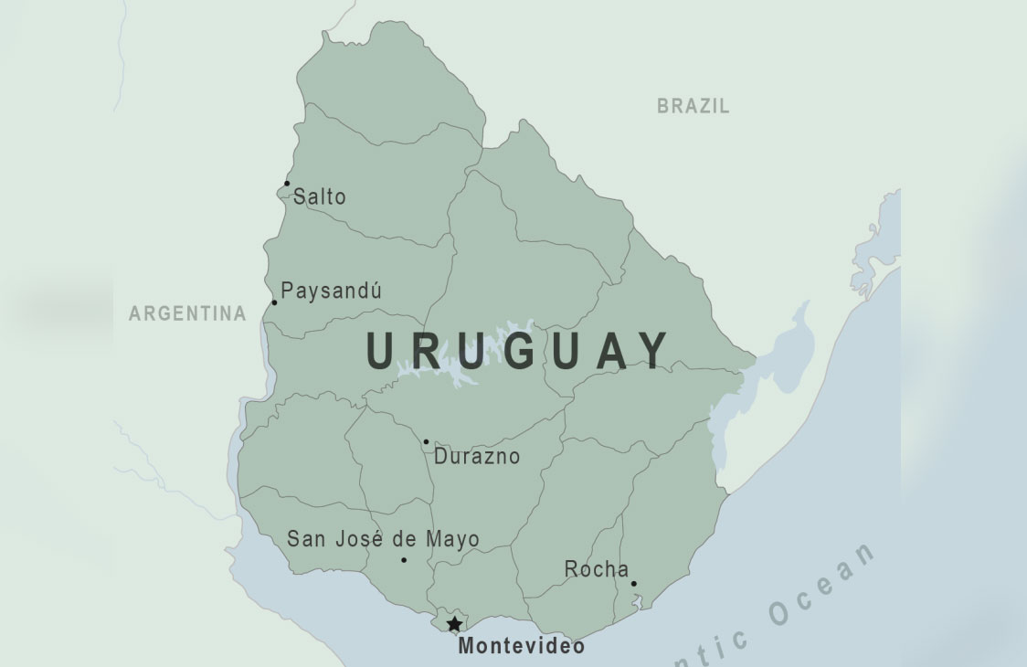 Detectados primeros casos de dragón amarillo en Uruguay
