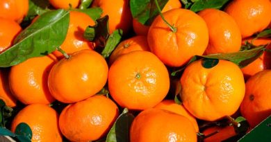 Estimación de la producción de mandarinas de Perú