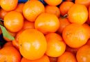 Las mejores variedades de naranjas para tu paladar
