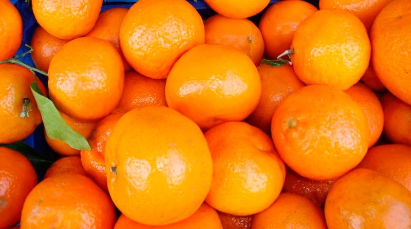 Las mejores variedades de naranjas para tu paladar
