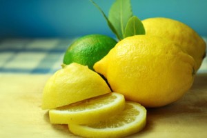 limon meyer