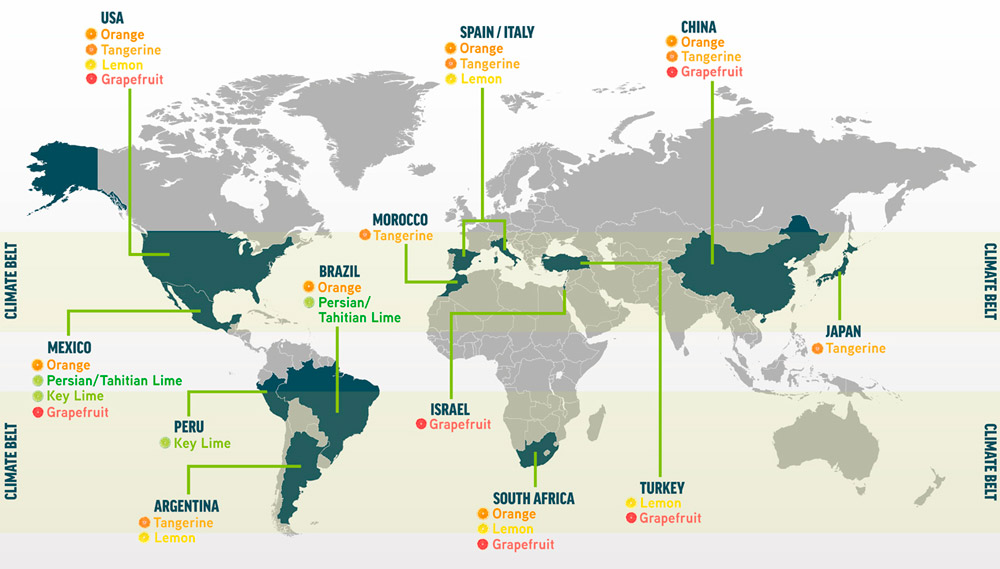 Los principales países productores de cítricos del mundo
