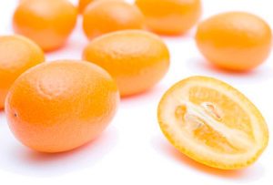 frutos de kumquats quinotos